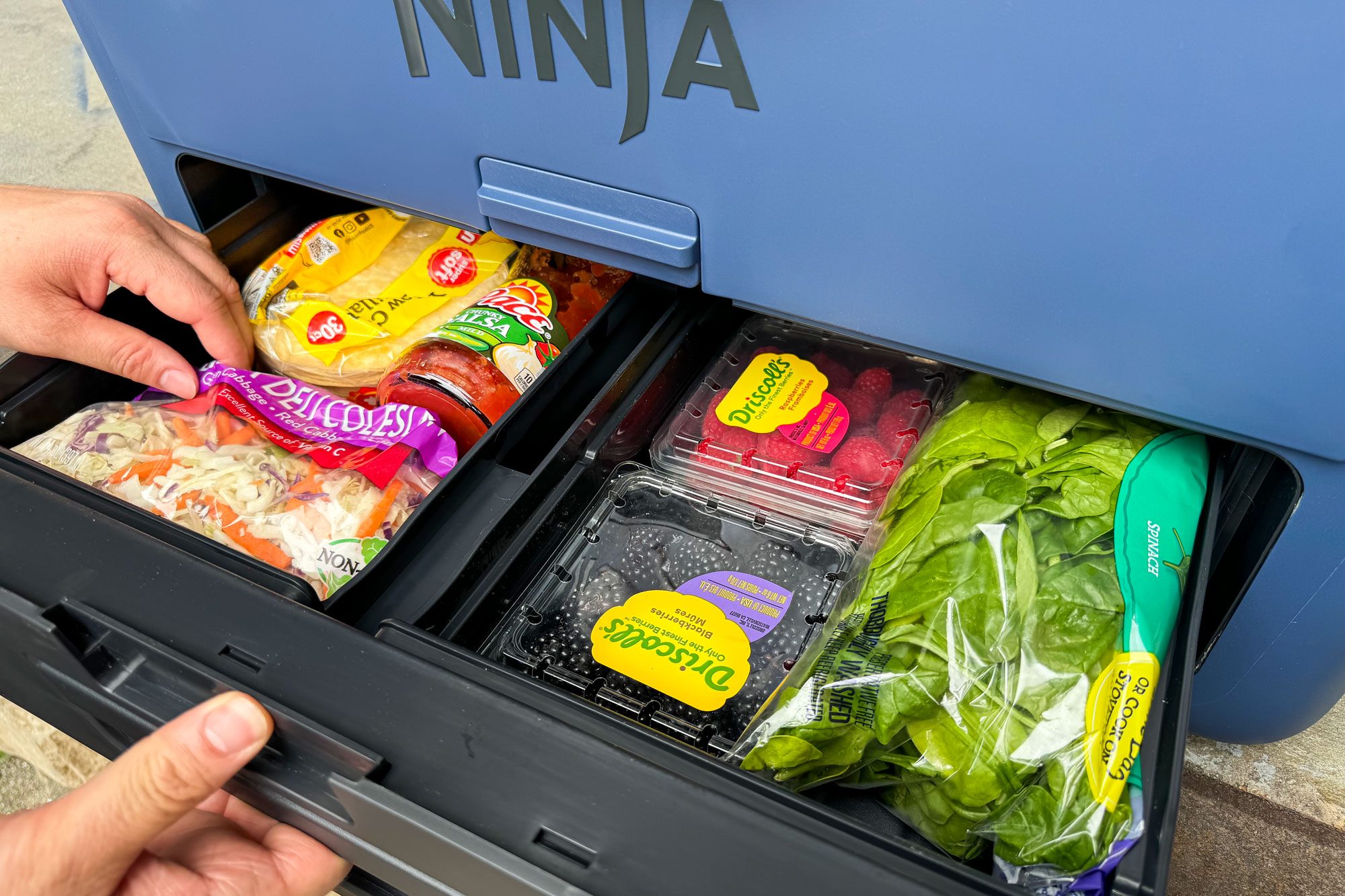 Ninja Frostvault Cooler