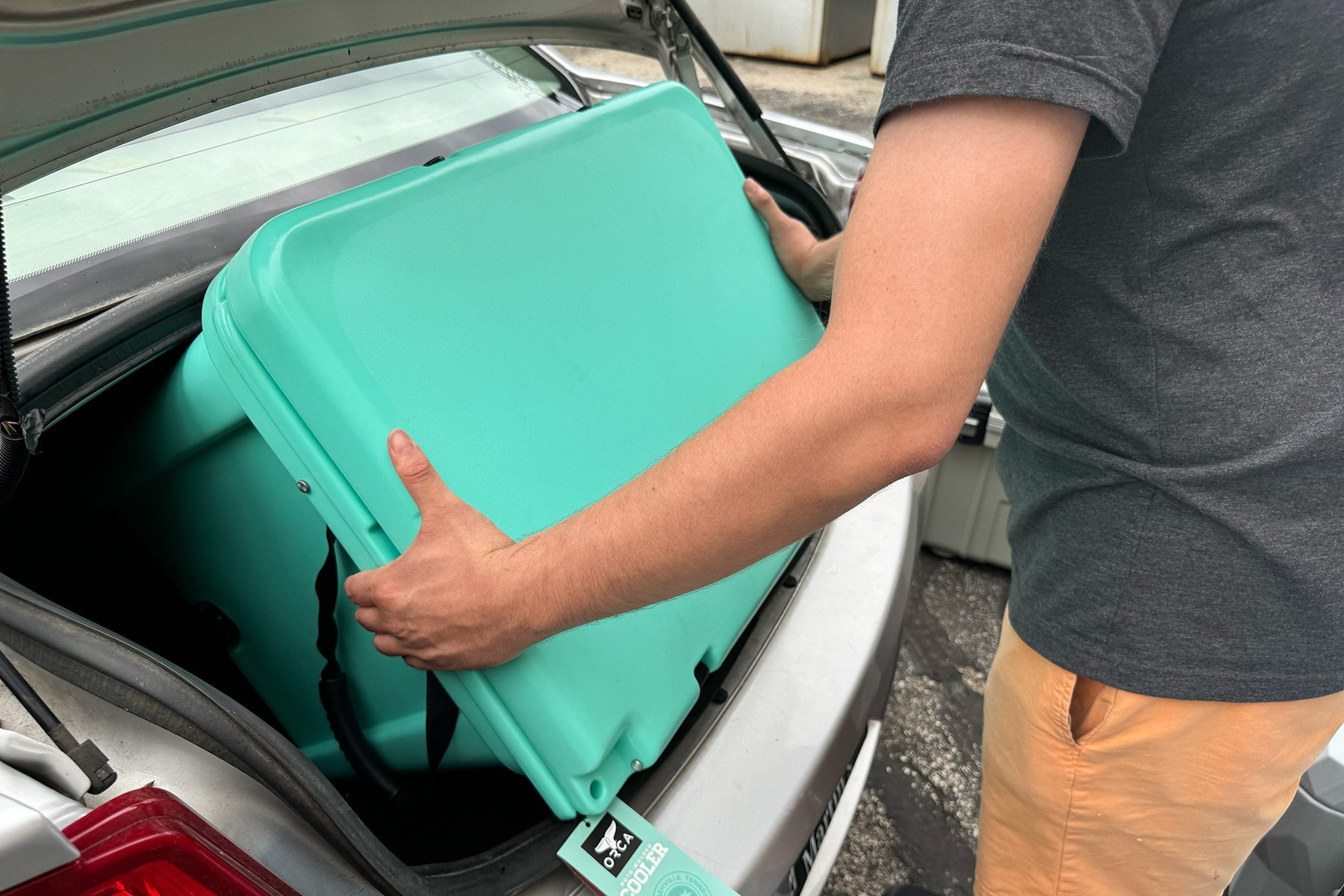 Toha24 Orca Cooler Annamarie Higley Ssedit 01