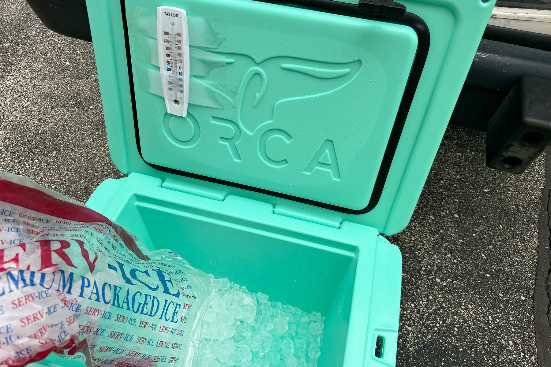 Toha24 Orca Cooler Annamarie Higley Ssedit 02