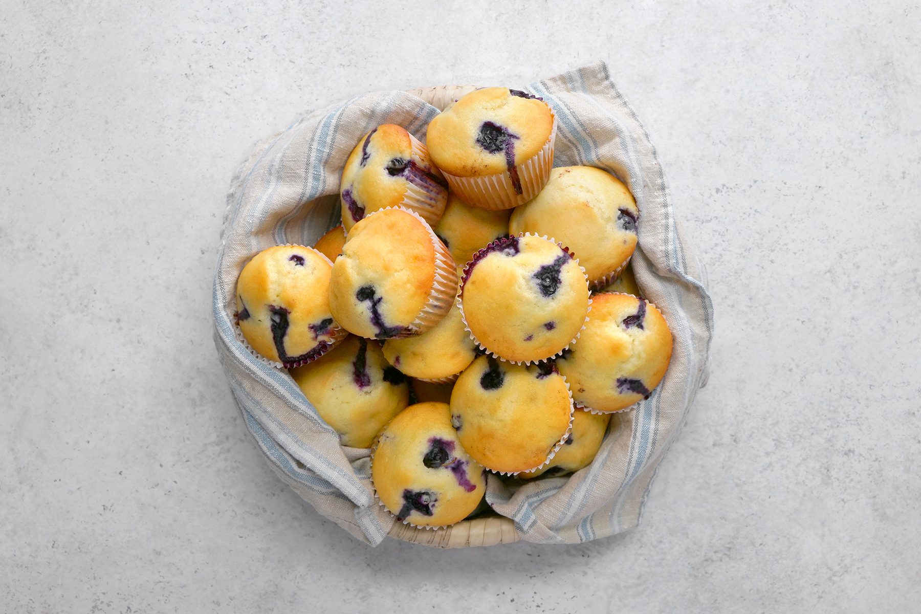 Blueberry Muffin Tohvp24 1901 Mf 08 09 2
