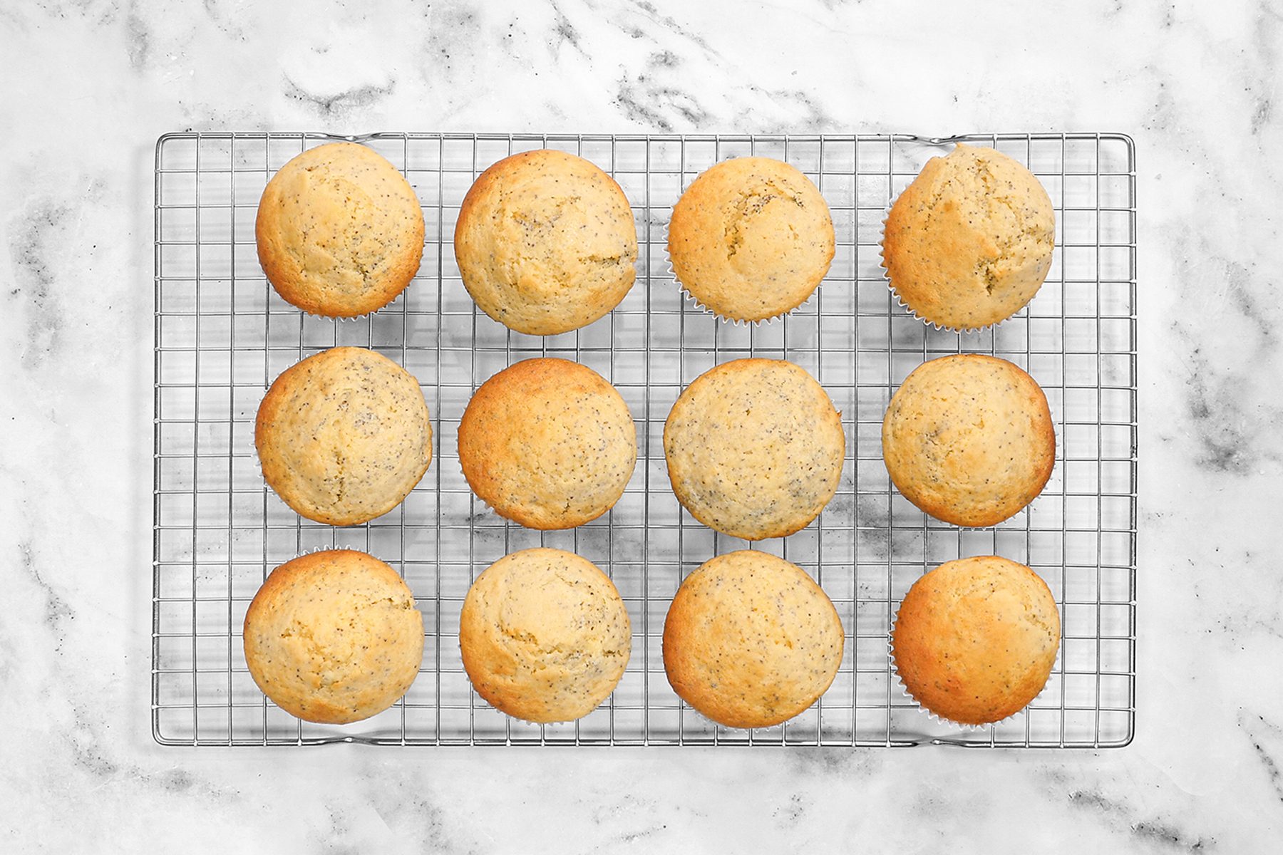 Lemon Poppy Seed Muffins Tohvs24 40131 Lc 08 14 6