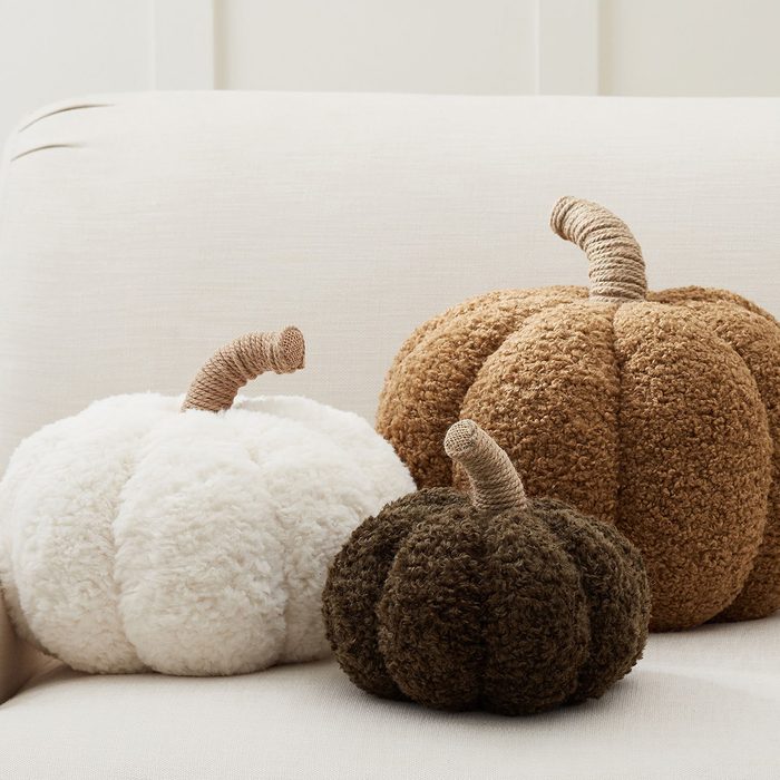 Shaped Pumpkin Pillow Ecomm Via Potterybarn.com
