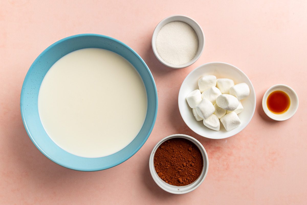 Taste of Home Vegan Hot Chocolate recipe photo of the ingredients.