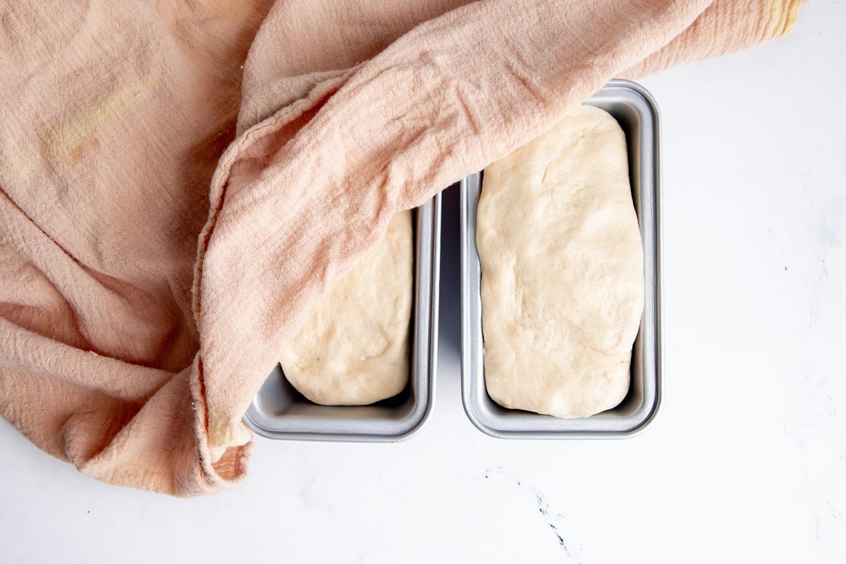 Oberhead shot for Taste of Home Mini Bread Loaf, bread in mini loaf pans.