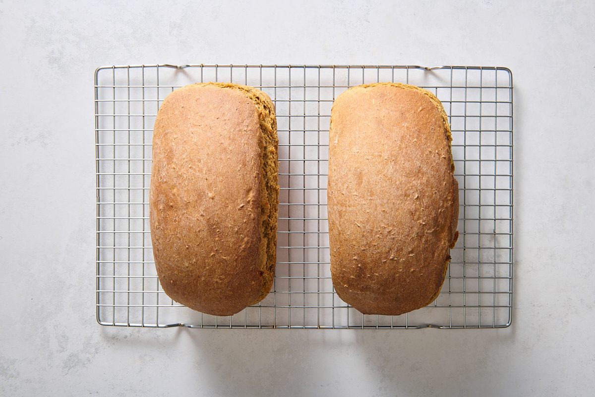 Loaves after being baked, cooling on a rack