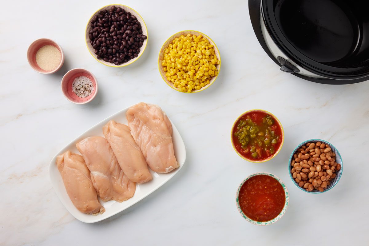 198236 Slow Cooker Salsa Chicken ingredients