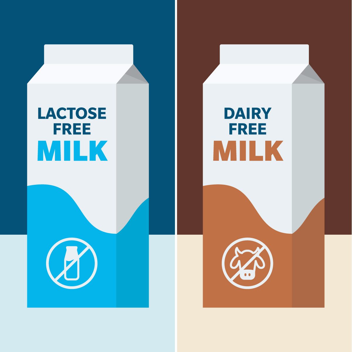What Is Lactose-Free Milk and How Does It Differ from Dairy-Free Milk?
