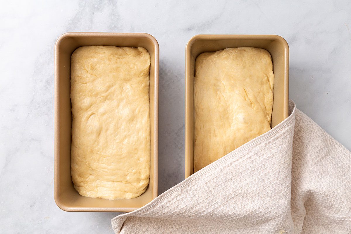 Bread dough in loaf pans with a dish towel covering for step three of Country White Bread recipe for Taste of Home