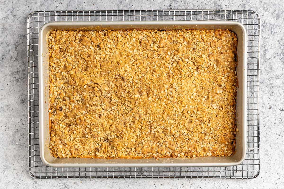 Taste of Home Oatmeal Raisin Bars photo of the baked bars.