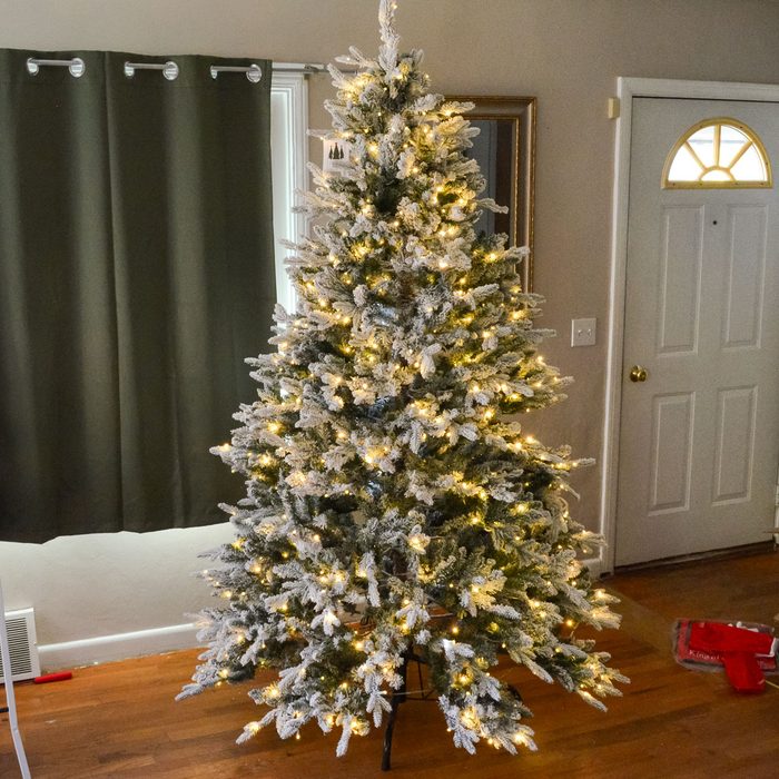 King Of Christmas Queen Flock