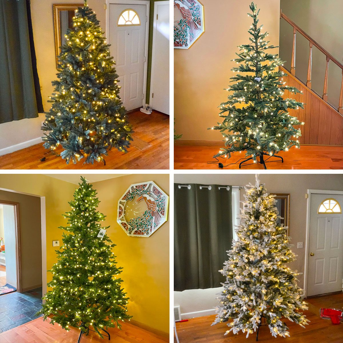 The Best King of Christmas Trees, Tested by Holiday Experts