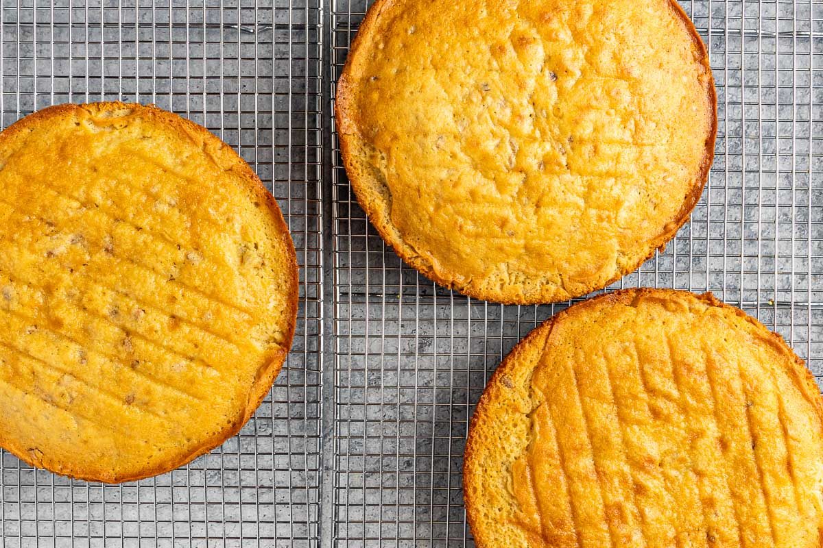 Taste of Home Walnut Cake photo of the baked cake layers.