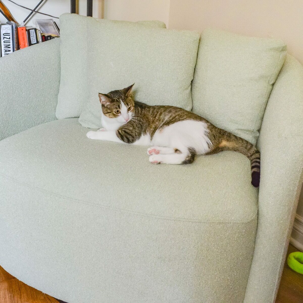 Drew Barrymore Furniture Is Here! 10 Home Finds We’re Shopping ASAP