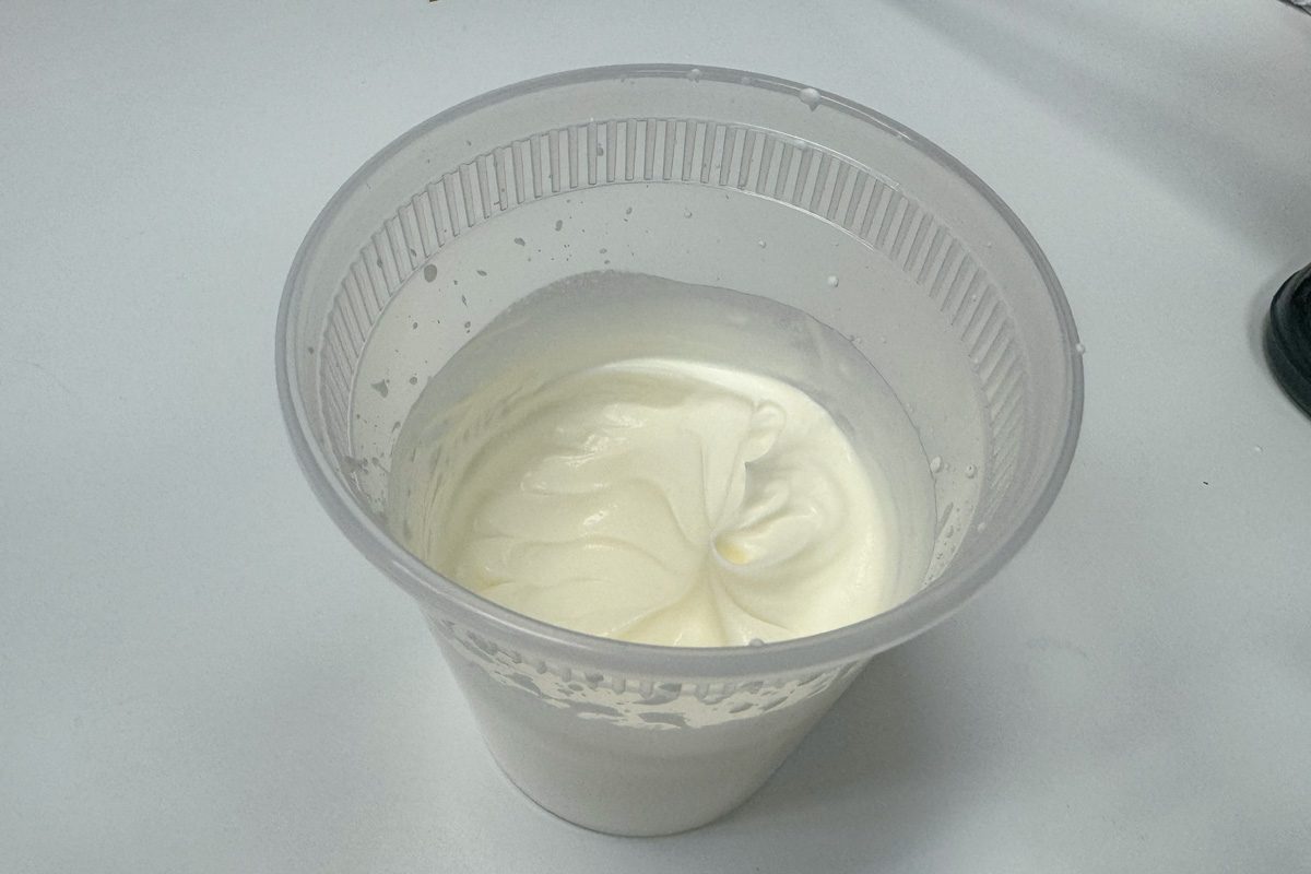 Ninja Foodi Cream Test