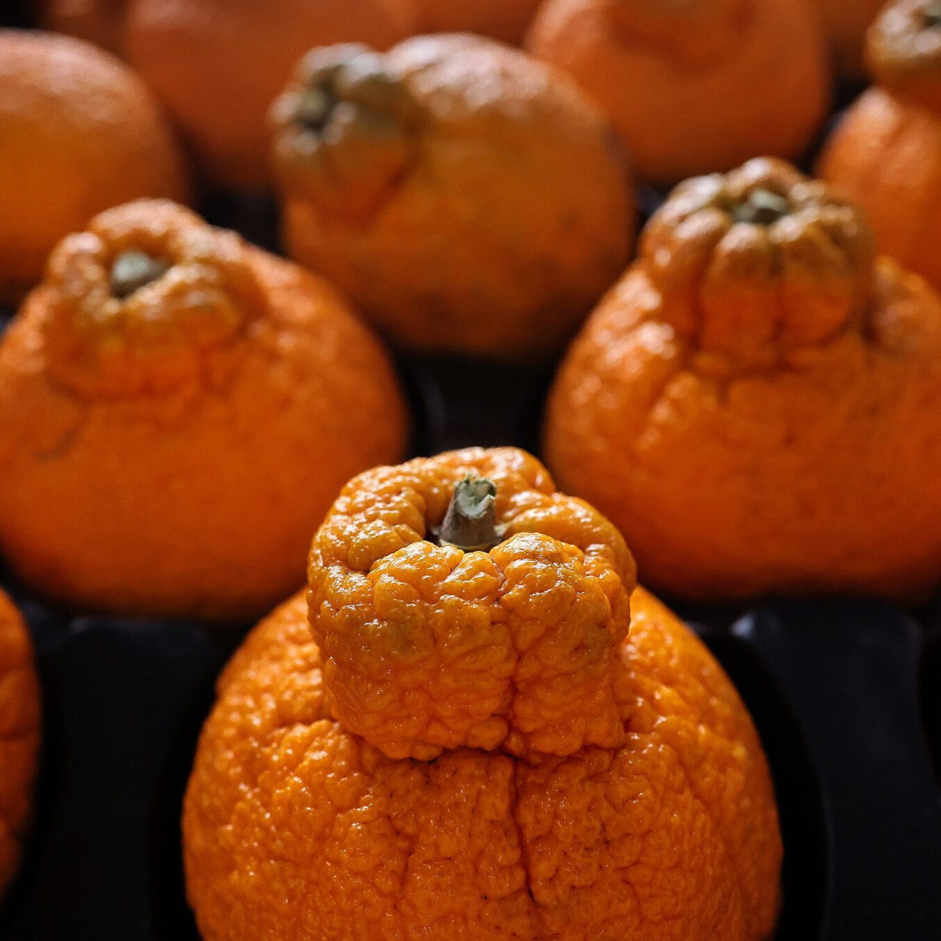 Sumo Citrus Just Appeared In Your Grocery Store—Here’s Why