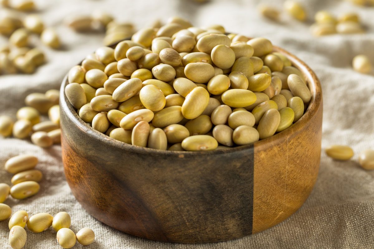 What Are Mayocoba Beans?
