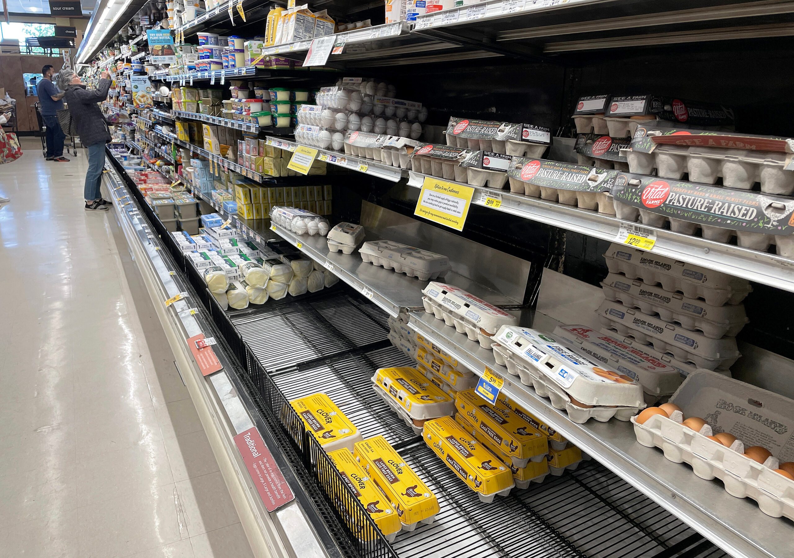 Sparse egg shelves in a Safeway grocery store