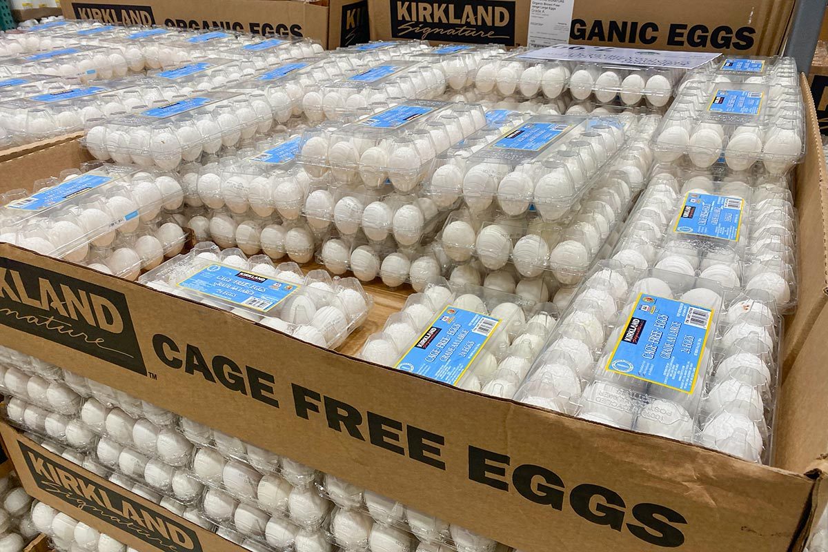 Costco Cage Free Eggs Stock