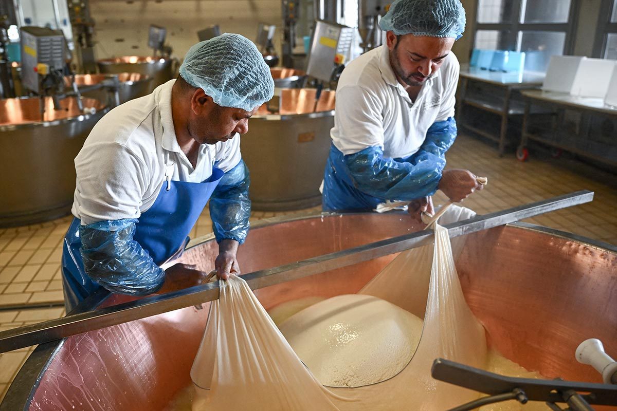 Two men making Parmigiano Reggiano cheese