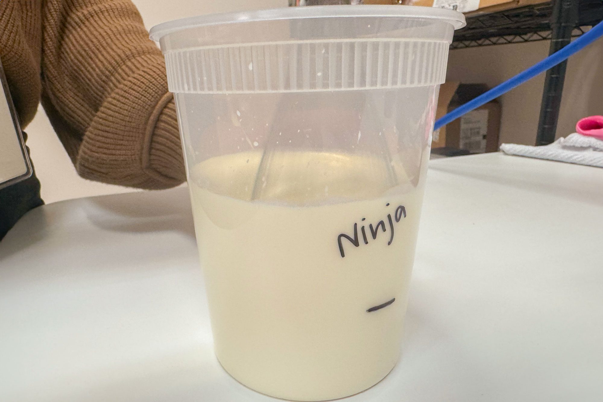 Ninja Immersion Blender Review Cream Test