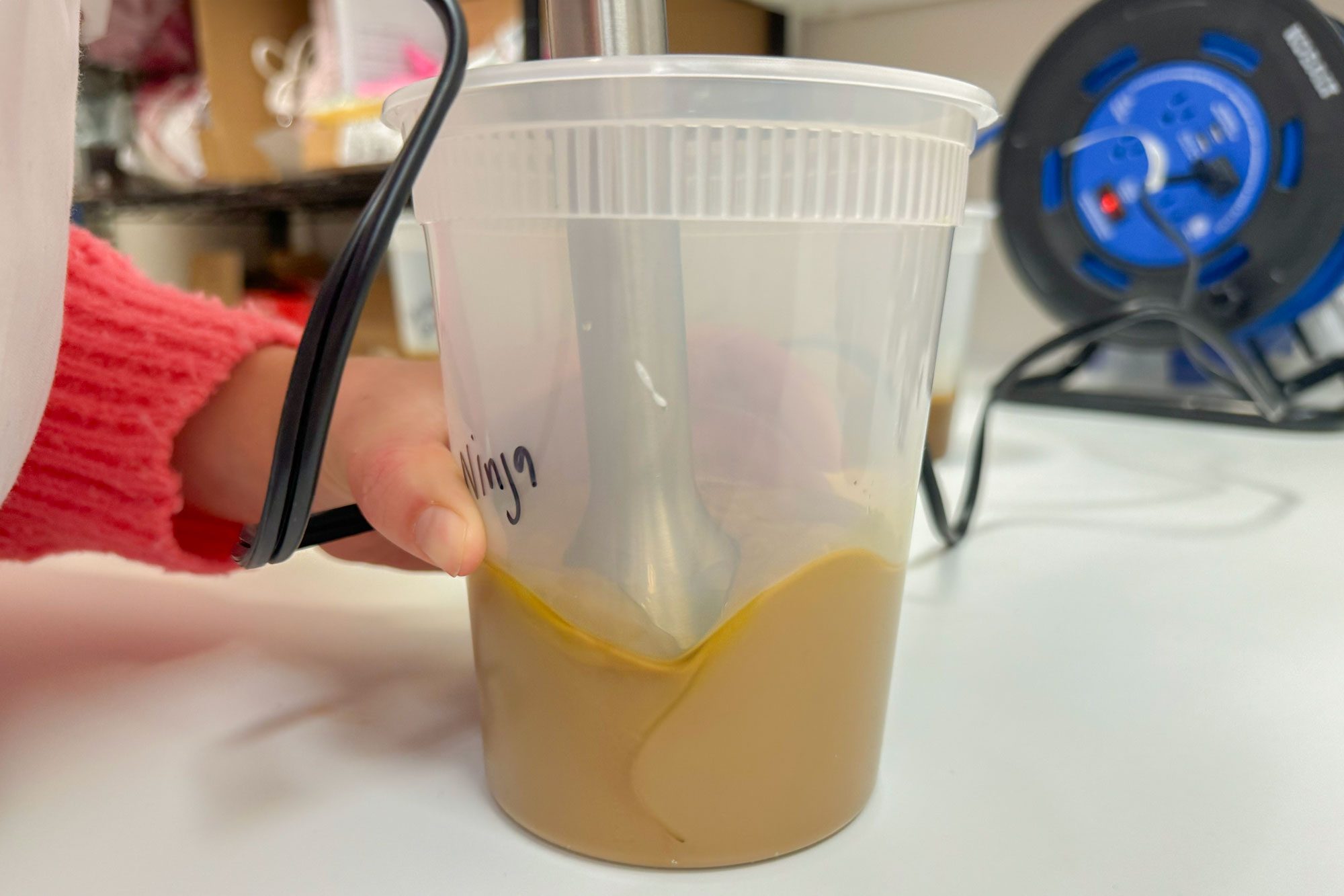 Ninja Immersion Blender Review Vinaigrette Test