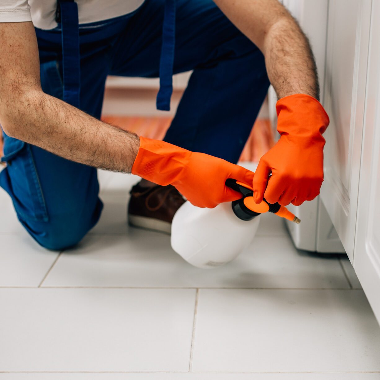 Exterminator spraying ant poison in the corner of a wall