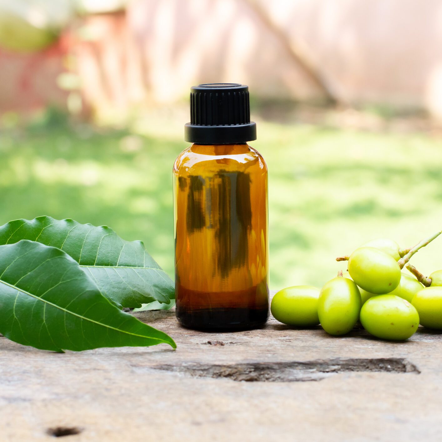 Essential neem oil in brown glasss bottle next to leaves and fruits outdoors in a backyard