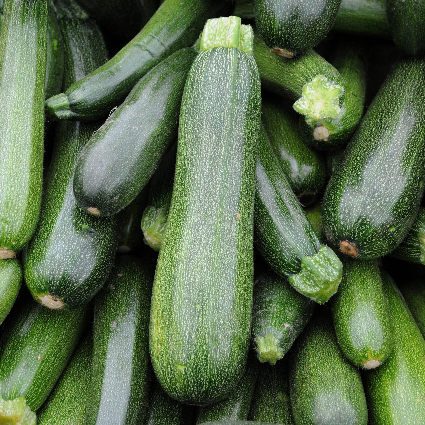 zucchini