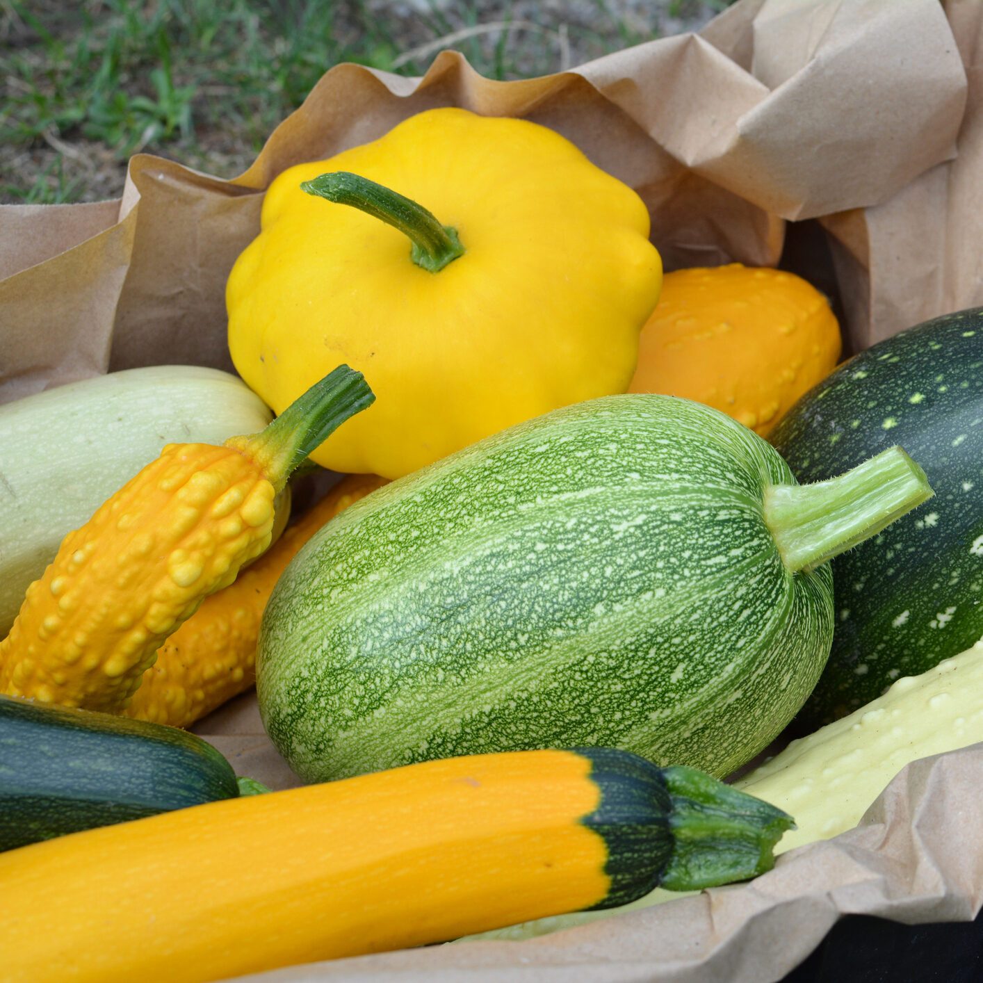 13 Types of Summer Squash (and How to Cook Each One)