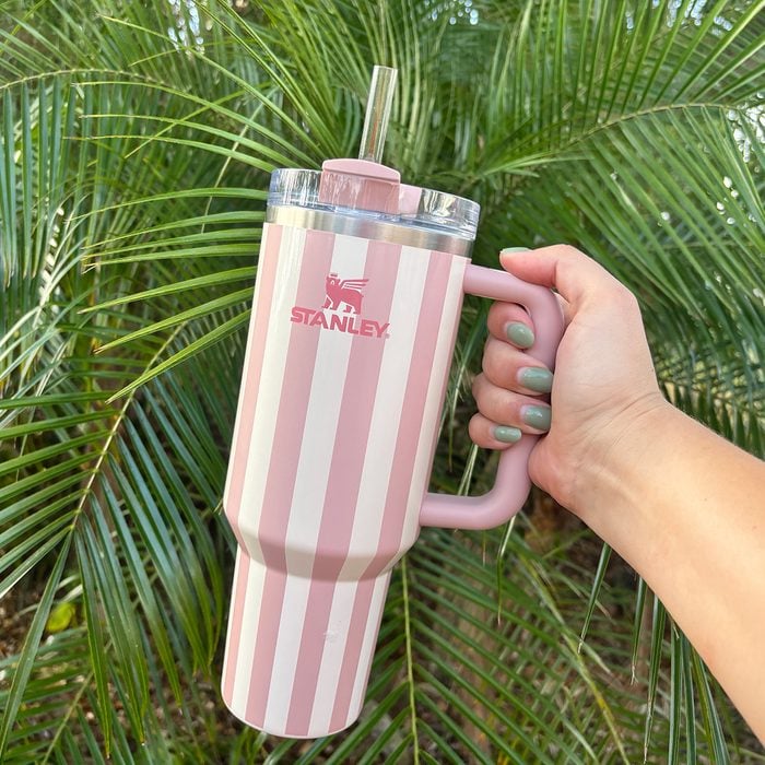 The Stanley Oasis Collection Is Here