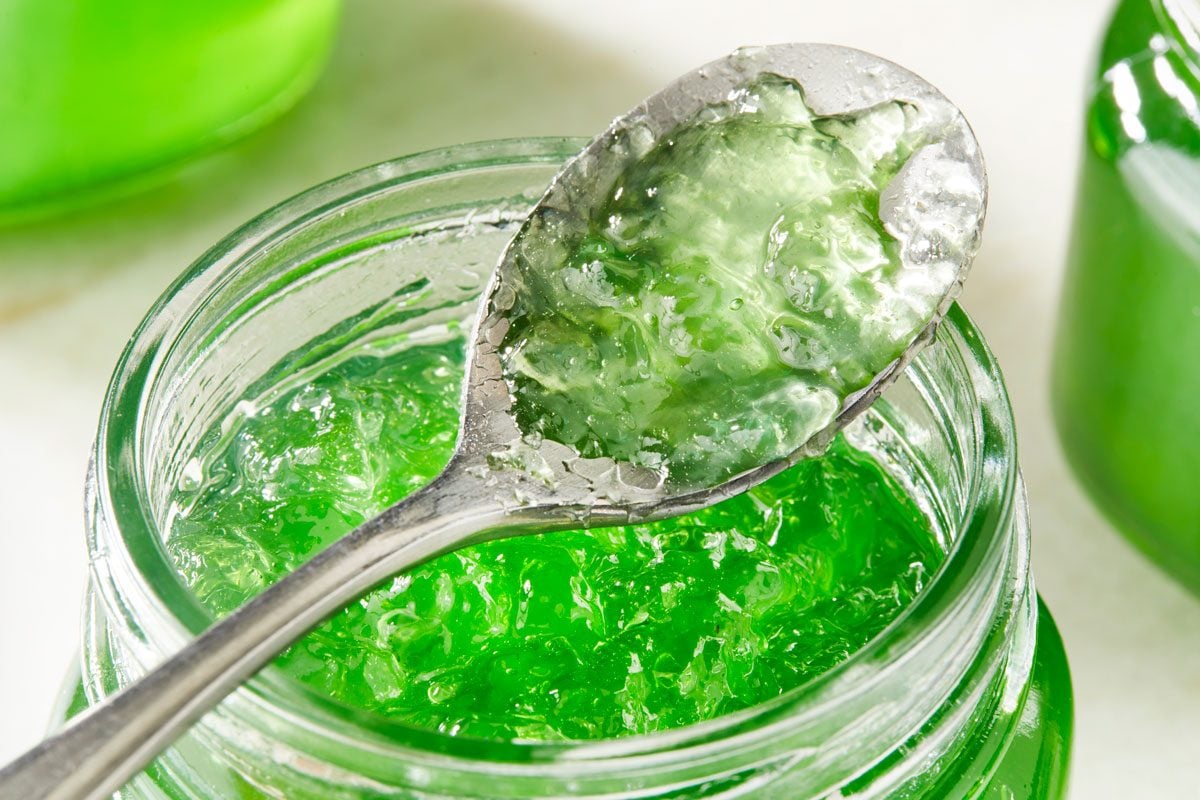 Close-up shot of Festive Mint Jelly; stored in glass jars; a spoon on top of jar; marble surface;