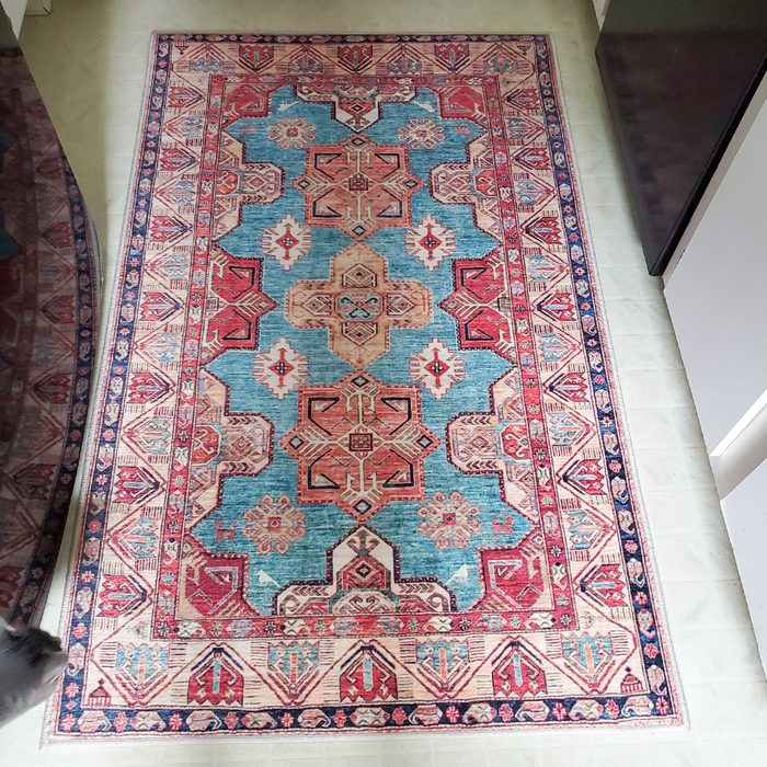 Toha25 My Magic Carpet Washable Rug Emily Way 01 Ssedit
