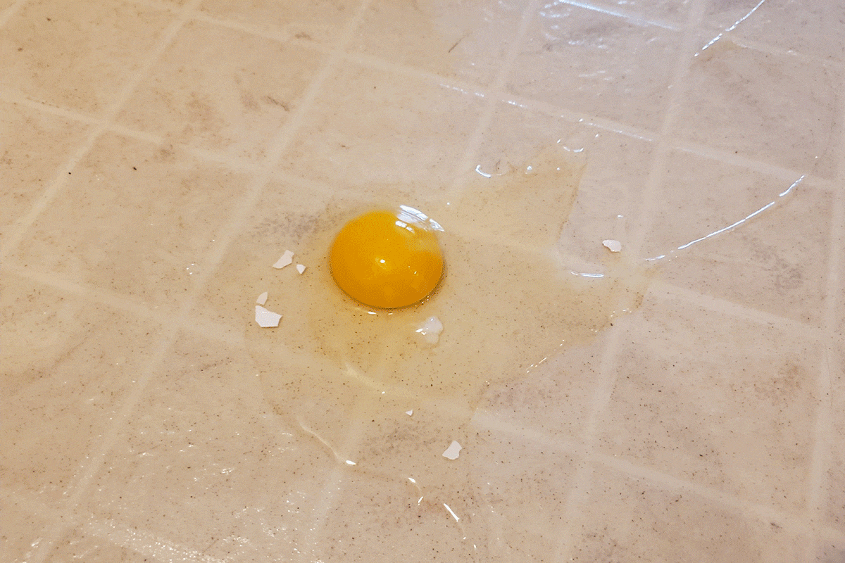 Toha25 Shark Messmaster Wet And Dry Vac Emily Way 06 Ssedit