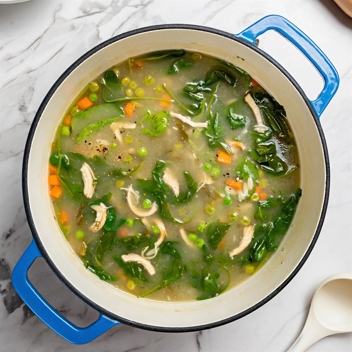 Chicken Soup with Dill