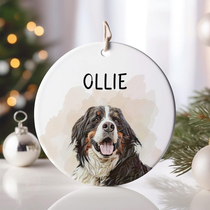 Custom Pet Ornament Via Etsy.com