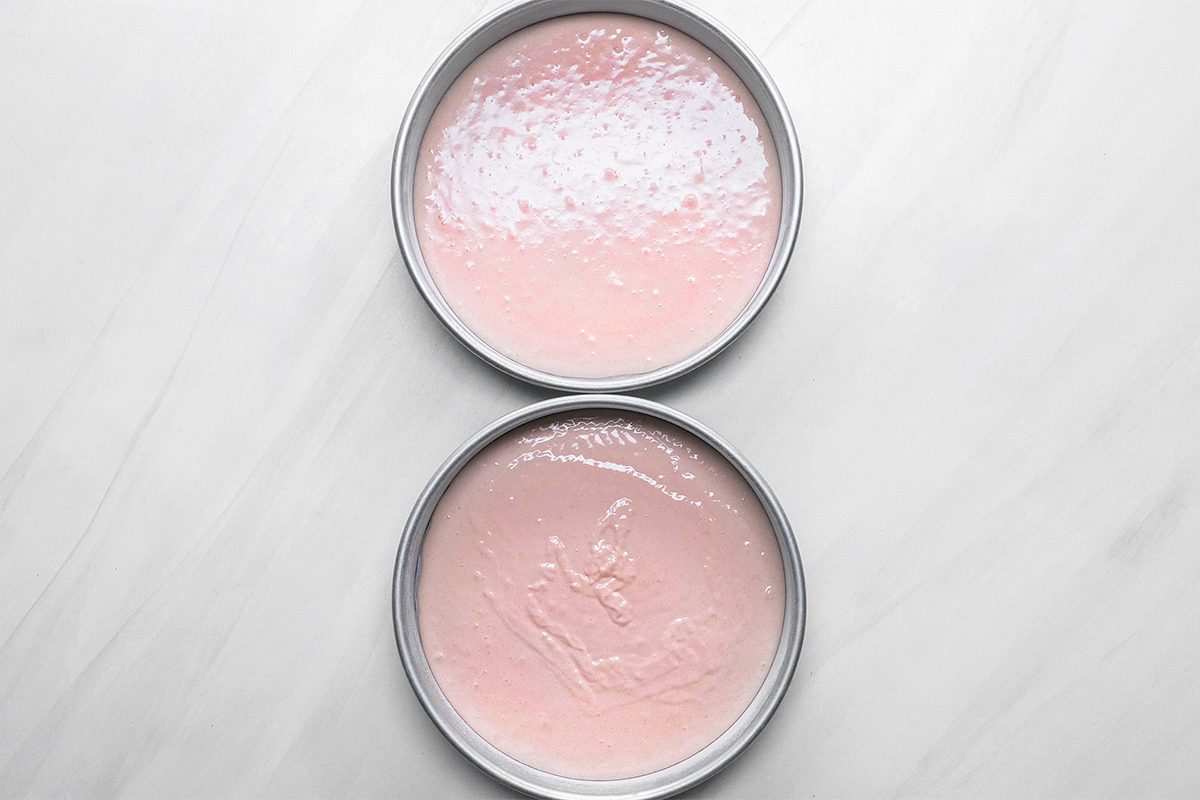 Watermelon Cake Tohvs23 15328 Bl 04 17 2