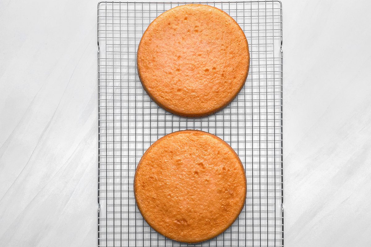 Watermelon Cake Tohvs23 15328 Bl 04 17 3