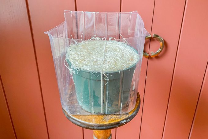 Toha25 Harry & David Bulb Of The Month Club Katie Bandurski 03 Ssedit