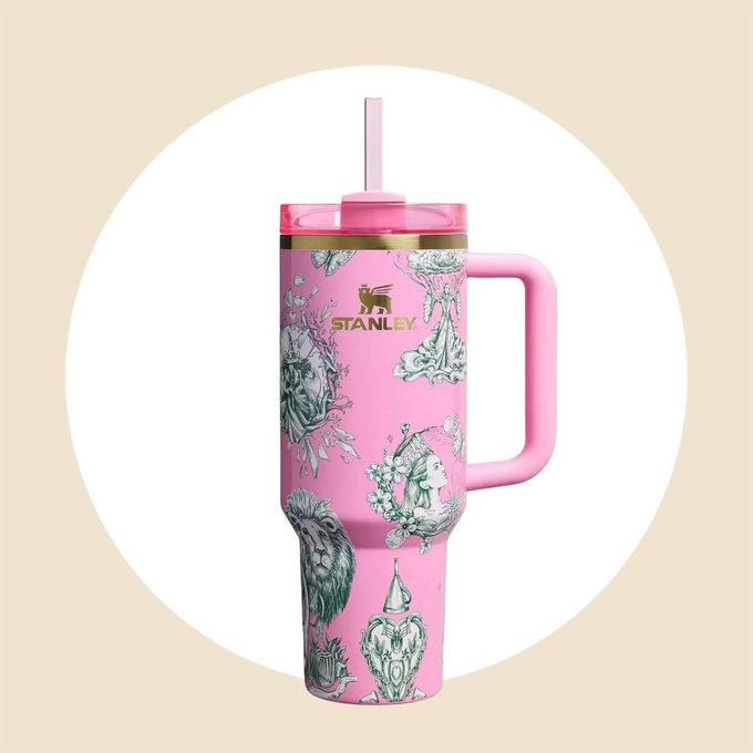 Ozian Reprise Stanley steel quencher TUMBLER