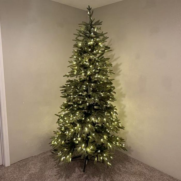 Toha25 Silverado Slim Tree  Mary Henn 01 Ssedit