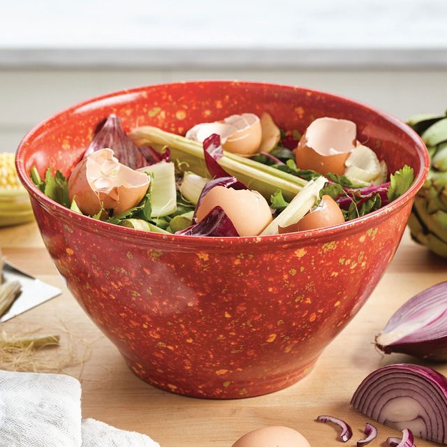 Rachael Ray's Garbage Bowl