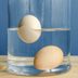 How to Tell if an Egg Is Bad